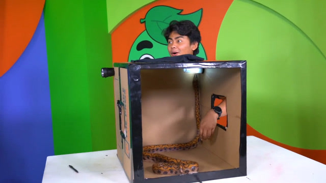 戏精小哥挑战摸箱子,饲养员却趁机恶搞,小编:心疼小哥!