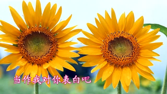伤感的音乐抖音最火_伤感抖音bgm_很伤感的抖音bgm