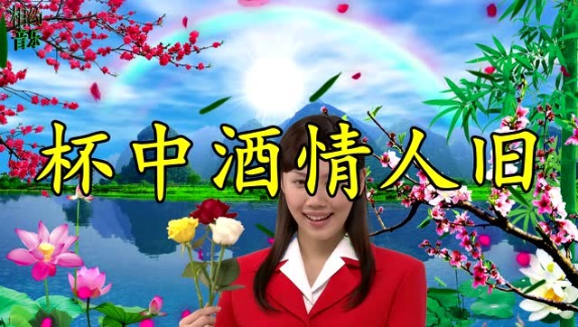 dj情歌《杯中酒情人旧》,好听极了!百听不厌!