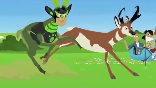 动物兄弟:动物兄弟和羚羊比赛跑步,太帅了