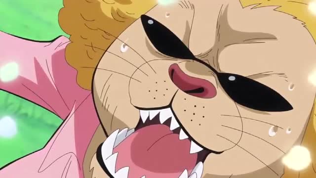 《海贼王》波克慕斯傻了,这不是我们的tarte,4出现了