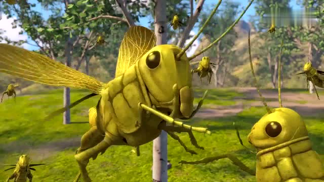 熊出没:熊大,赵琳他们帮助稻田鸭除害虫,拔草!