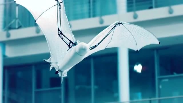 完全仿生蝙蝠的空气动力结构,来自世界顶级的仿生机器人公司德国!