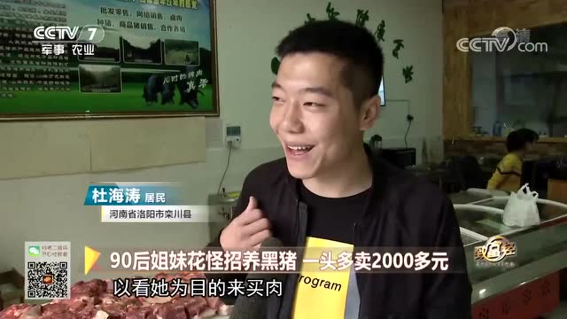 这事当时央视还报道过,90后姐妹花回乡养野猪,从行业中找出商机,一年销售额突破400万!张志远说:我不喜欢太瘦得,他必须能扛动猪在座的各位,你们扛得动么?
