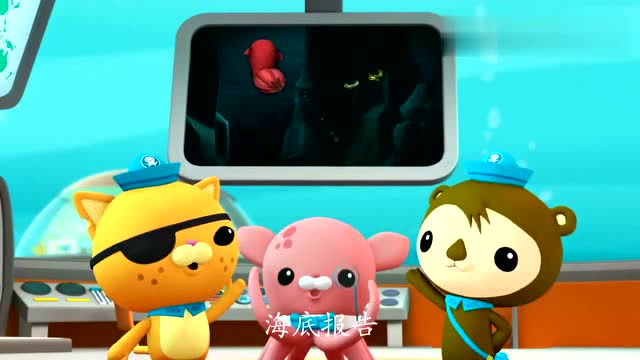 海底小纵队:投弹虫个子小但是他们的用处很大这就是投弹虫