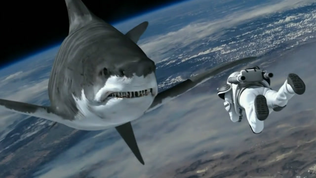 这群鲨鱼厉害了,在太空中都能游!