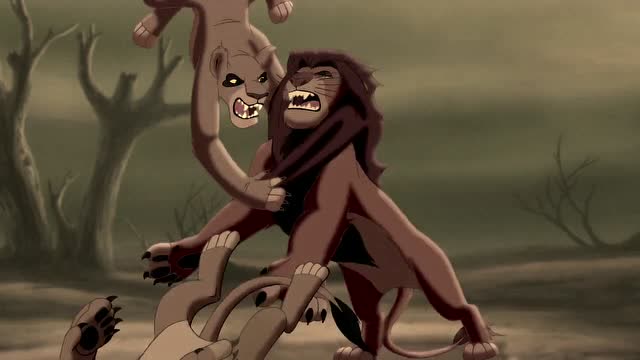 狮子王2:辛巴的荣耀狮子王收到了群狮的攻击