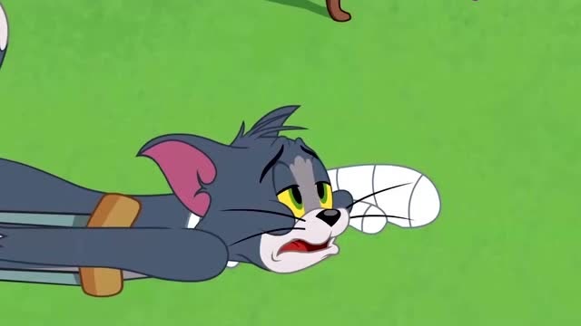 杰瑞鼠欺负汤姆猫,令其伤痕累累