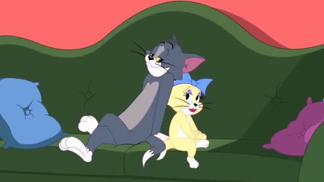 新猫和老鼠:汤姆和小黄猫的约会