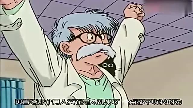 经典龙珠:布玛爸爸说贝吉塔很调皮,妈妈却很欣赏贝吉塔