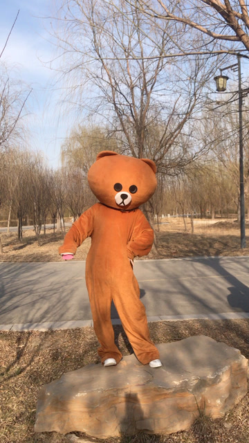 网红熊都是这样跳舞的?