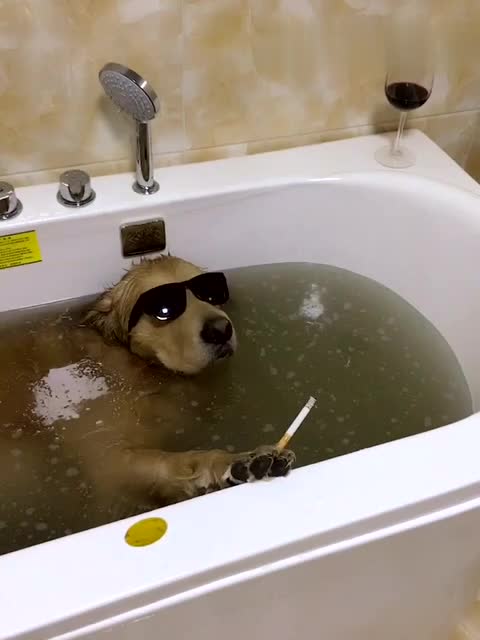 洗澡呢哥!那啥我就是看看洗手间有人没!