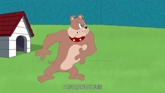 新猫和老鼠:汤姆得意太早了,爬上树斯派克对你就无可耐何了吗?