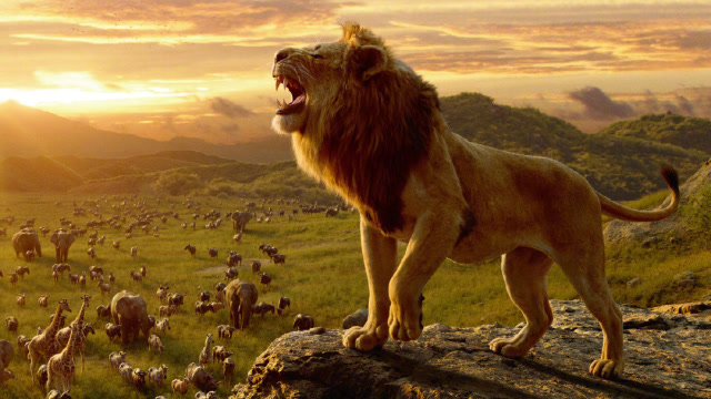 真人版《狮子王》定档预告,内地7.12提前北美7天