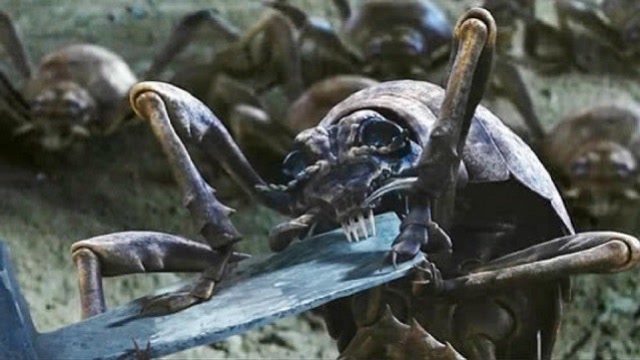 真实存在的"尸蟞",广泛分布中国各地,被咬一口后果难以想象!