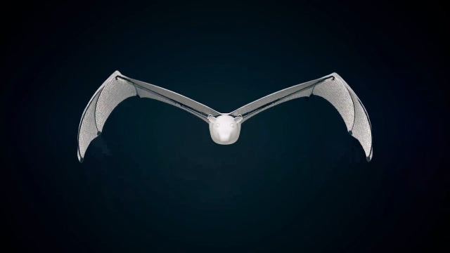 十分逼真的蝙蝠机器人,不仅可以自主飞行,还能参与灾后救援任务