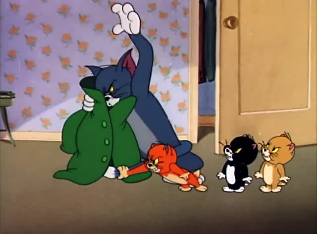 本来只要对付杰瑞,不料又多来三只小猫咪,汤姆生活一团糟