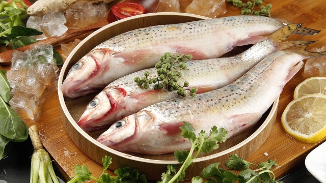 肉质鲜美的花骨鱼如今已可人工养殖,市场售价不错