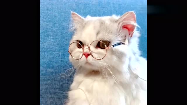 喜欢听音乐的尼莫,这文艺气质满分!