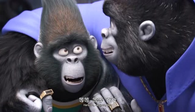 欢乐好声音:猩猩强尼有多不愿去抢劫,但是经不住父亲的威严呀!