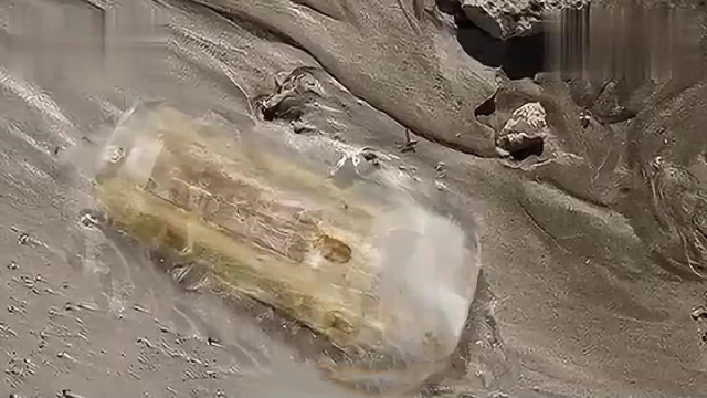 黄河淤泥中挖出透明棺材,接近它的人都发出惨叫,专家都无法解释
