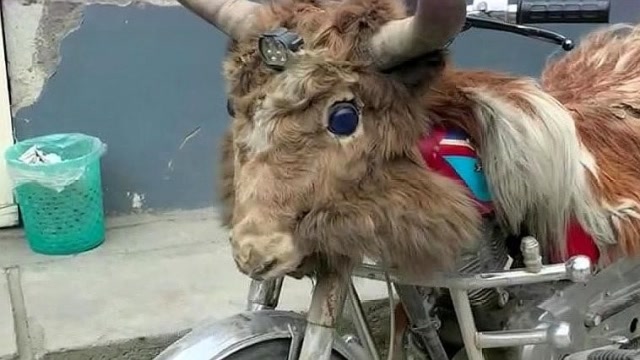 巴基斯坦的"动物摩托车",这看上去太奇妙了,是真的动物皮吗?