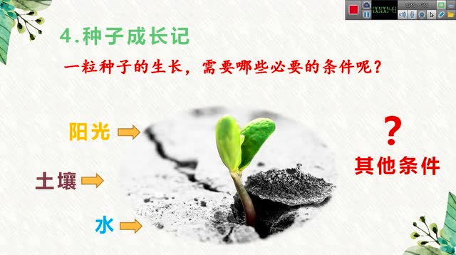 二年级道德与法治下册《试种一粒籽》