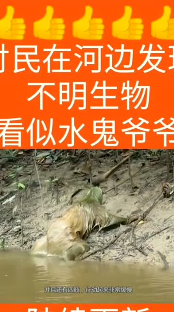 河边发现一只水鬼