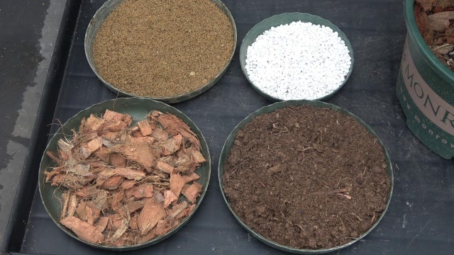 月季花的基质怎样配制具体有哪些作用为你一一分解教你配出黄金比例