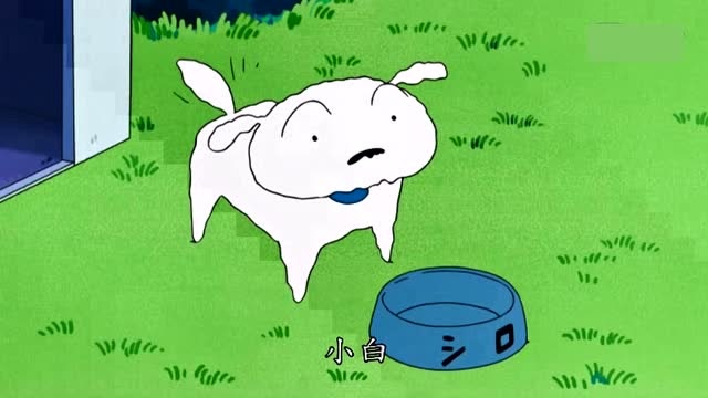 蜡笔小新:小白的肚子饿了,小新的工作就是喂小白?