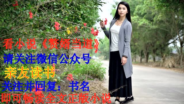 赘婿当道岳风电视剧全集