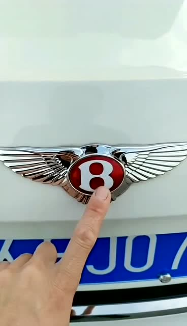 宾利车标两边的羽毛,数量为什么不一样,其中有什么故事吗