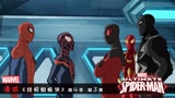 漫威：小黑蛛迈尔斯被困平行宇宙，在神盾局和一群蜘蛛侠成为朋友