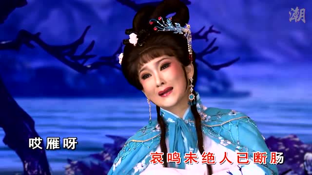 潮剧选段:见江思人泪涟涟(三篙恨)