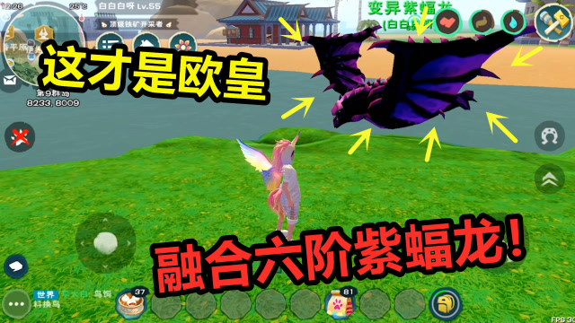 创造与魔法萌新第一次融合紫蝠龙没想到就出了个六阶