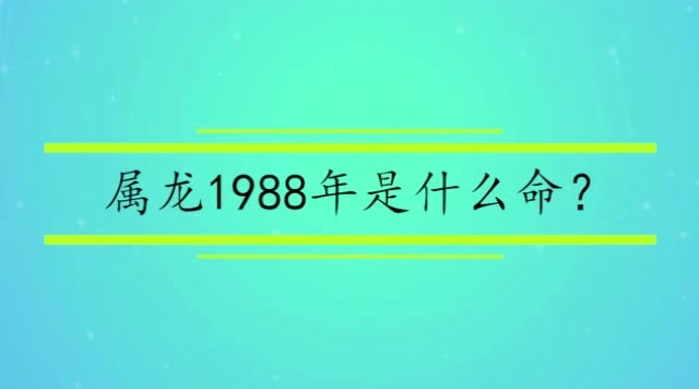 属龙1988年是什么命