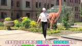 36步鬼步舞一步一步教-鬼步舞教学基础舞步