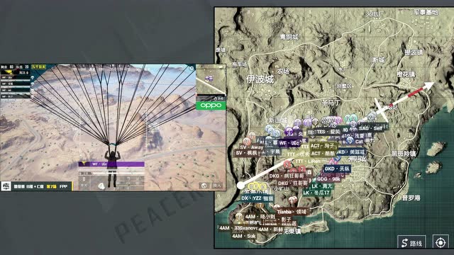 2019 PELƽӢְҵ S1  ڶ