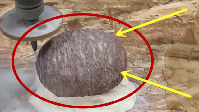 国外男子购买恐龙蛋,用水刀切开后,奇特的一幕发生了!