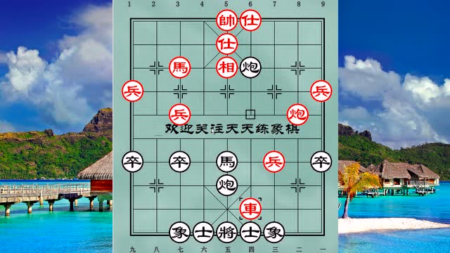 象棋:胡荣华叶底藏花开局,一车二抢攻,大战杨官璘