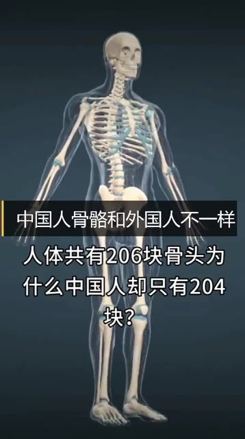 人体共有206块骨头,中国人却只有204块,少的两块去哪儿了