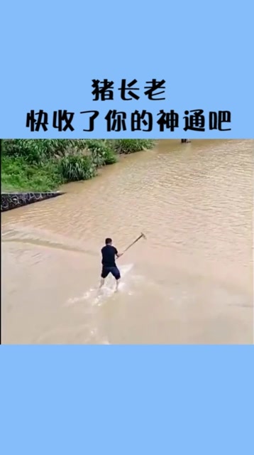 猪长老,快些收了你的神通吧!