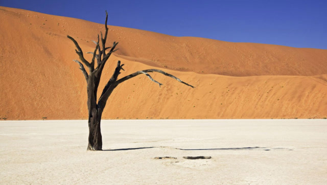 假如把沙漠的沙子全部掏空,在沙漠底下会发现什么呢?看完令人震惊!