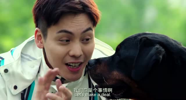 宠爱豪七篇:陈伟霆钟楚曦狗狗豪七,甜密虐心别样三角恋