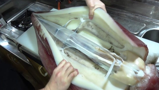 小哥买了只大鱿鱼,切开发现透明"塑料"管,瞬间脸色都变了