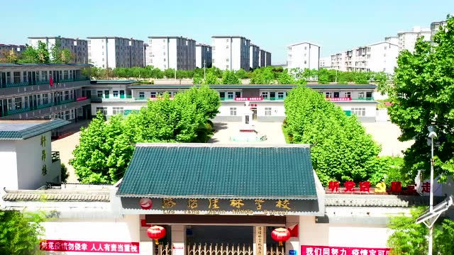 2020洛阳佳林学校精简版