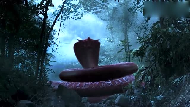 男子野外猎蛇,遭到蛇女皇的复仇,没想到还有比蛇皇更厉害的龙潭巨兽