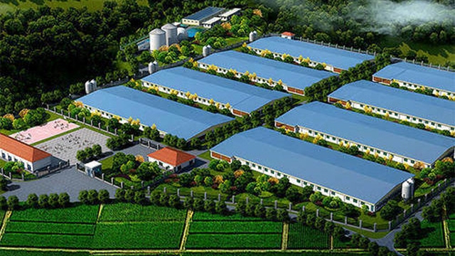 养牛收入亿元-大规模10000头肉牛养殖场-内部细节设计图