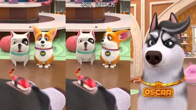 飞狗moco:奥斯卡地中海的发型,真是惊呆了我的眼!