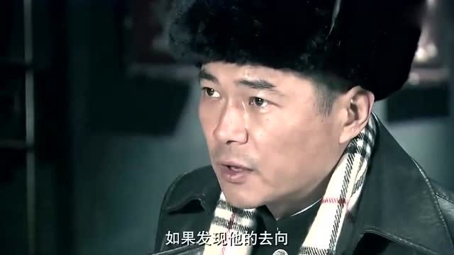 热门影视尖刀出鞘秋雪终于康复醒来没想到秋雪会遇到他